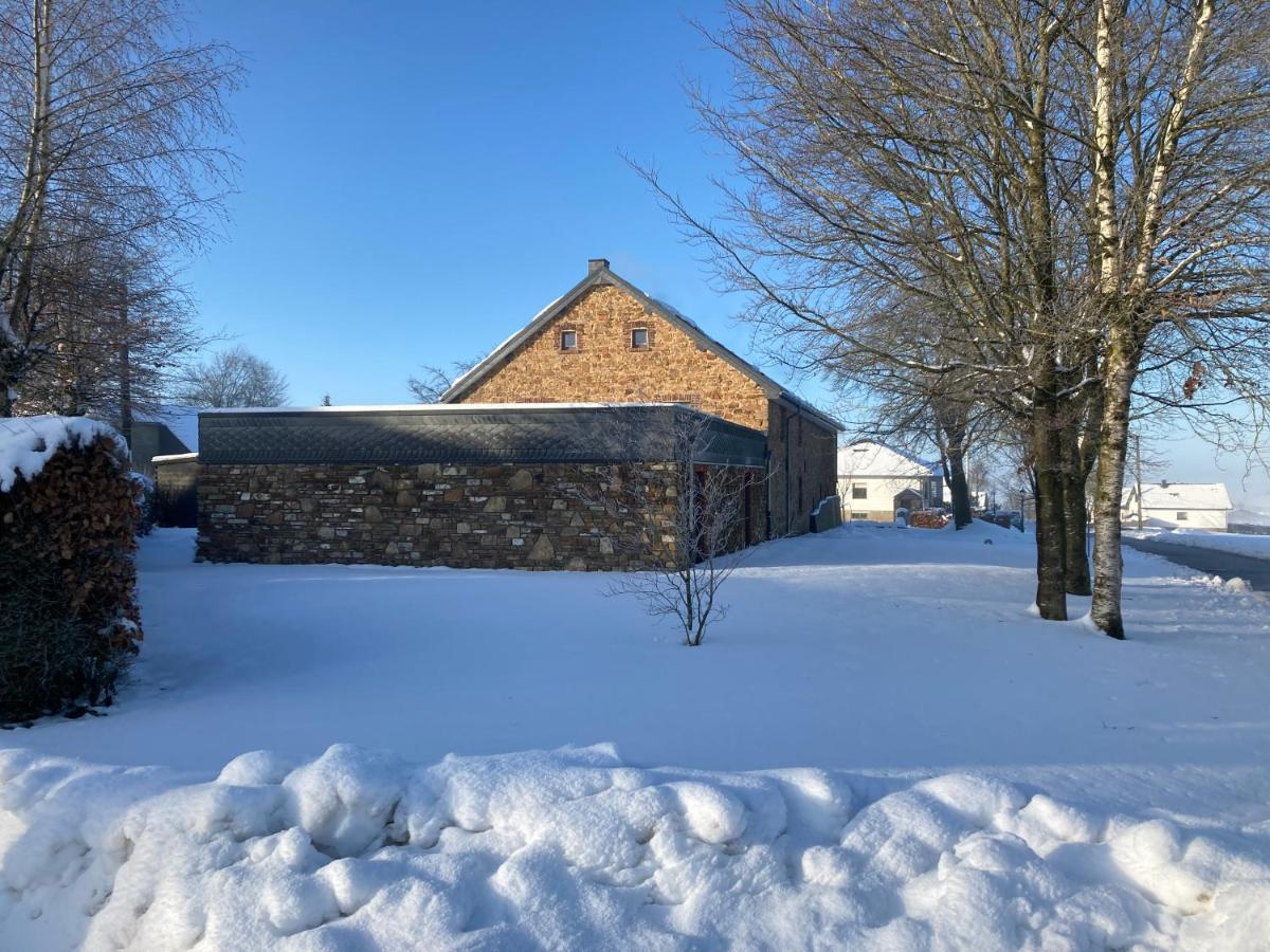 Ferienhof A&B Wellness Villa 12 Personen Hunningen Bagian luar foto