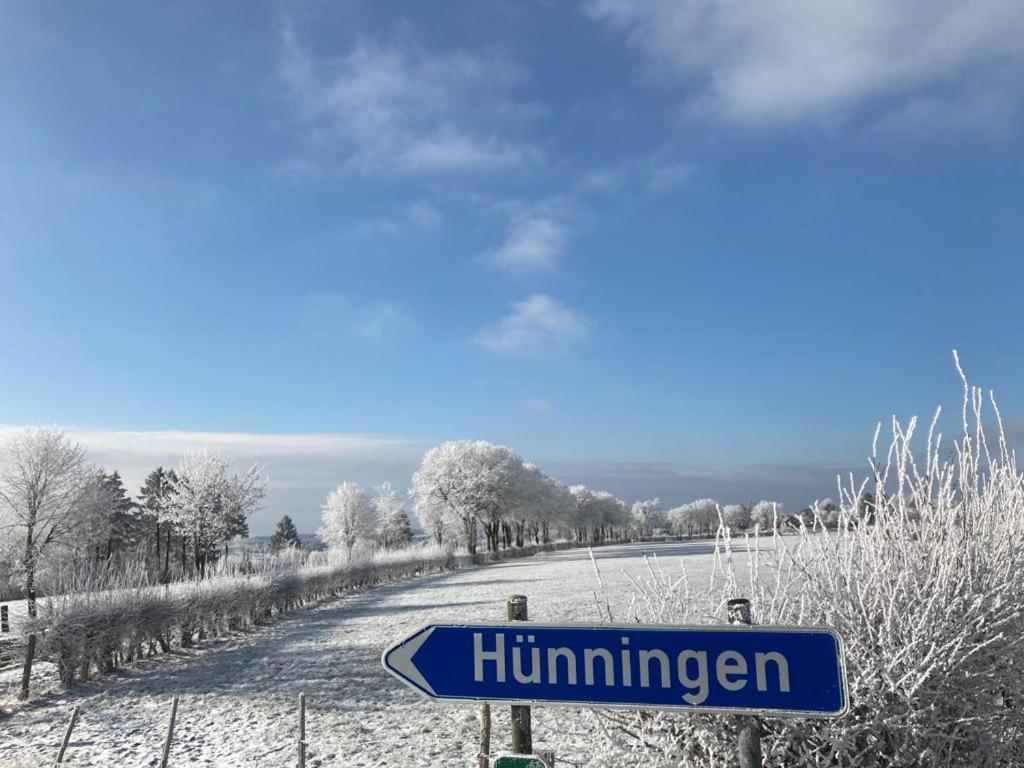 Ferienhof A&B Wellness Villa 12 Personen Hunningen Bagian luar foto